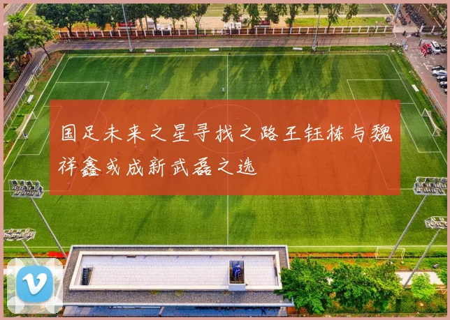 国足未来之星寻找之路王钰栋与魏祥鑫或成新武磊之选