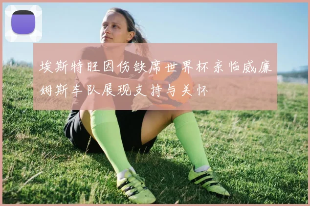 埃斯特旺因伤缺席世界杯亲临威廉姆斯车队展现支持与关怀