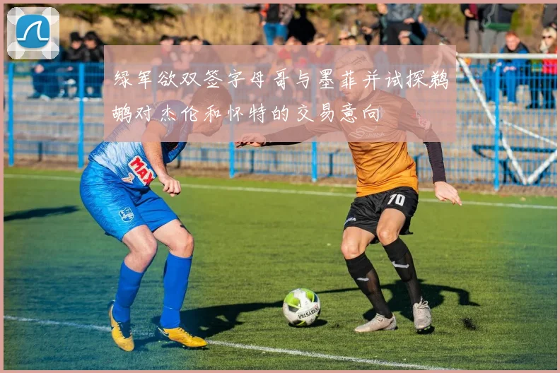 绿军欲双签字母哥与墨菲并试探鹈鹕对杰伦和怀特的交易意向